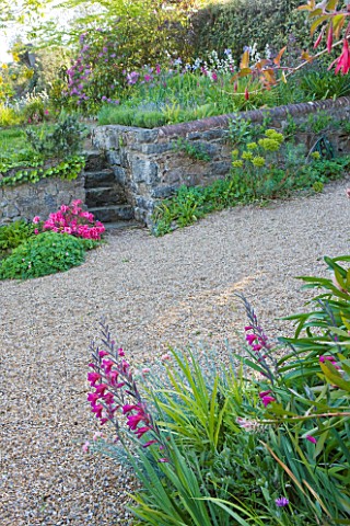 MILLE_FLEURS__GUERNSEY_GRAVEL_PATH_WITHWALL_AND_GLADIOLUS_COMMUNIS_BYZANTINUS