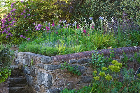 MILLE_FLEURS__GUERNSEY_WALL_WITH_RAISED_BED_OF_DUTCH_IRIS_AND_GLADIOLUS_COMMUNIS_BYZANTINUS