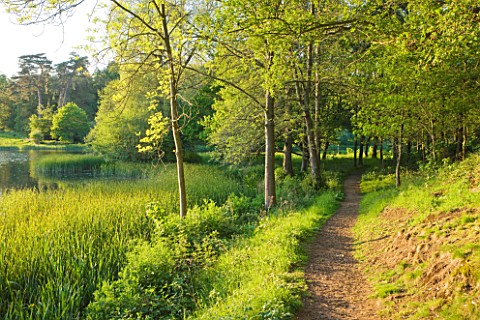 DUDMASTON_ESTATE__SHROPSHIRE_THE_NATIONAL_TRUST_MAY_2012__PATH_BESIDE_THE_LAKE_IN_SPRING