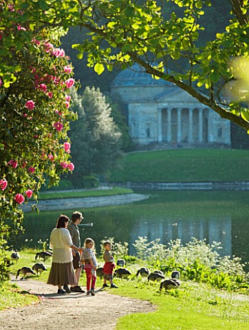 STOURHEAD_LANDSCAPE_GARDEN__WILTSHIRE_THE_NATIONAL_TRUST_MAY_2012__FAMILY_FEEDING_CANADA_GEESE_BESID