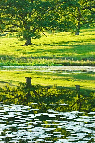STOURHEAD_LANDSCAPE_GARDEN__WILTSHIRE_THE_NATIONAL_TRUST_MAY_2012___REFLECTIONS_IN_THE_LAKE_AT_SIX_W