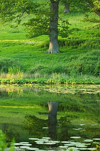 STOURHEAD_LANDSCAPE_GARDEN__WILTSHIRE_THE_NATIONAL_TRUST_MAY_2012___REFLECTIONS_IN_THE_LAKE_AT_SIX_W