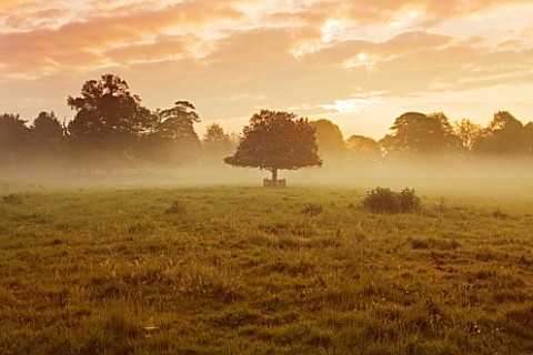 DUDMASTON_ESTATE__SHROPSHIRE_THE_NATIONAL_TRUST_MAY_2012__DAWN_VIEW_FROM_FRONT_OF_HOUSE_ACROSS_PARKL