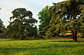 DUDMASTON ESTATE  SHROPSHIRE: THE NATIONAL TRUST. MAY 2012 - VIEW AT DAWN TO THE HOUSE ACROSS PARKLAND WITH CEDARS