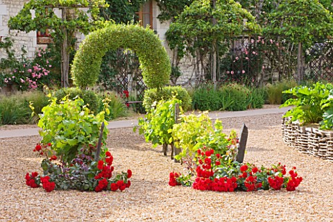 CHATEAU_DU_RIVAU__LOIRE_VALLEY__FRANCE_ROSES_AND_A_BEAUTIFUL_TOPIARY_ARCH_IN_THE_COURTYARD