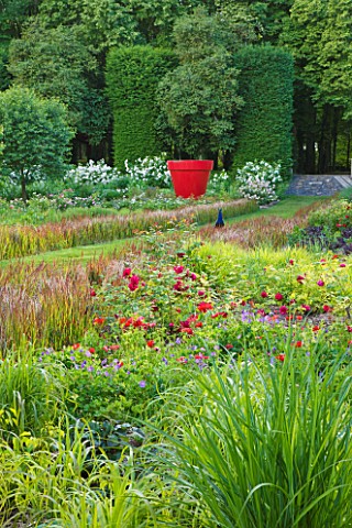 CHATEAU_DU_RIVAU__LOIRE_VALLEY__FRANCE_PEACOCK_IN_THE_FAIRIES_BORDER_WITH_IMPERATA_CYLINDRICA_RED_BA