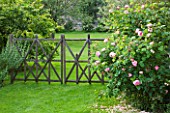 LES JARDINS DE ROQUELIN  LOIRE VALLEY  FRANCE: LAWN AND A DECORATIVE WOODEN FENCE BY STEPHANE CASSINE - BESIDE IS ROSE CONSTANCE SPRY