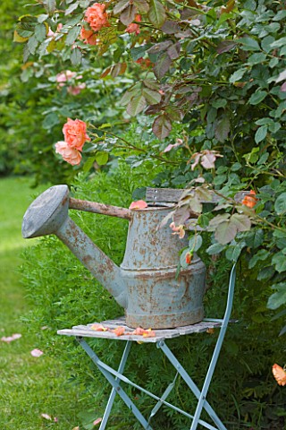 LES_JARDINS_DE_ROQUELIN__LOIRE_VALLEY__FRANCE_VINTAGE_FRENCH_WATERING_CAN_ON_BLUE_METAL_SEAT__WITH_R
