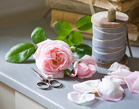 LES_JARDINS_DE_ROQUELIN__LOIRE_VALLEY__FRANCE_CUT_ROSE_NEW_DAWN_WITH_VINTAGE_FRENCH_SEWING_ACCESSORI