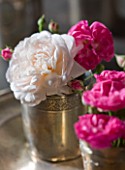 LES JARDINS DE ROQUELIN  LOIRE VALLEY  FRANCE: VINTAGE SILVERED CUPS OF ROSES: ROSA GRUSS AN AACHEN  ROSA BELLE DE REMALARD