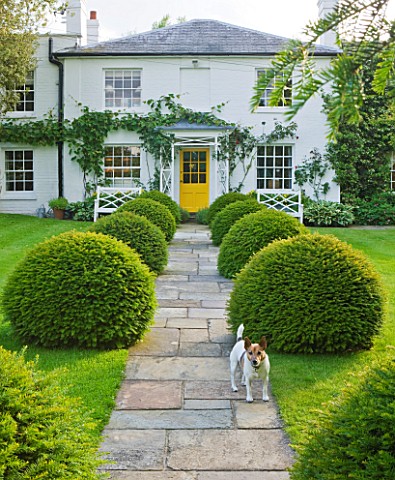 GIPSY_HOUSE__BUCKINGHAMSHIRE_THE_FRONT_GARDEN_WITH_STONE_PATH__HOUSE_WITH_YELLOW_DOOR__CLIPPED_YEW_T