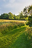 GIPSY HOUSE  BUCKINGHAMSHIRE: THE MEADOW WITH MOWN PATH