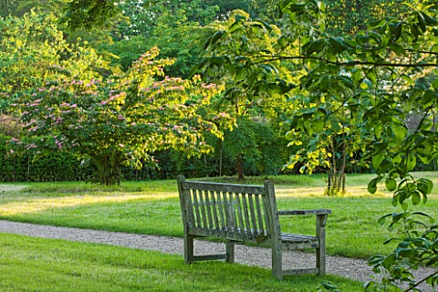 NYMANS__SUSSEX_THE_NATIONAL_TRUST_WOODEN_BENCH_SEAT__GRAVEL_PATH_AND_CORNUS_KOUSA_SATOMI__IN_EVENING