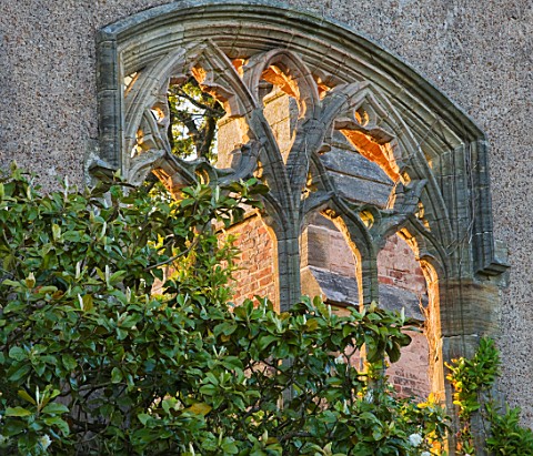 NYMANS__SUSSEX_THE_NATIONAL_TRUST_DETAIL_OF_WINDOW_IN_THE_HOUSE_IN_EVENING_LIGHT_IN_JUNE