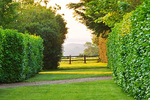NYMANS__SUSSEX_THE_NATIONAL_TRUST_PATH_WITH_WOODEN_FENCE_AND_VIEWS_TO_THE_COUNTRYSIDE_BEYOND__MORNIN