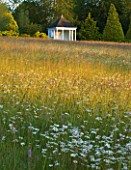 NYMANS  SUSSEX. THE NATIONAL TRUST: WILDFLOWERS INCLUDING OXE-EYE DAISIES GROWING IN THE MEADOW WITH THE TEMPLE BESIDE THE PINETUM