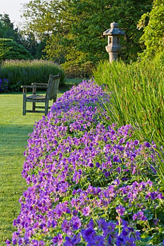 NYMANS__SUSSEX_THE_NATIONAL_TRUST_GERANIUMS_BESIDE_THE_CROQUET_LAWN_WITH_WOODEN_BENCH_SEAT_BEHIND_MO