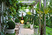 THE GLASS HOUSE  PETERSHAM. ARCHITECTS TERRY FARRELL PARTNERS. GARDEN DESIGN BY SALLIS CHANDLER: PERGOLA WITH WOODEN BENCH WITH FIG  BOX BALLS IN CONTAINERS AND TRACHYCARPUS