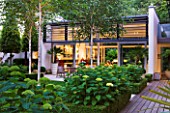 THE GLASS HOUSE  PETERSHAM. ARCHITECTS TERRY FARRELL PARTNERS. GARDEN DESIGN BY SALLIS CHANDLER: NIGHT VIEW OF LAWN  GLASS PAVILION  BETULA JACQUEMONTII AND HYDRANGEA ANNABELLE