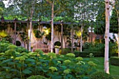 THE GLASS HOUSE  PETERSHAM. ARCHITECTS TERRY FARRELL PARTNERS. GARDEN DESIGN BY SALLIS CHANDLER: NIGHT - WOODEN PERGOLA  BETULA JACQUEMONTII AND HYFRANGEA ANNABELLE