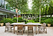 THE GLASS HOUSE  PETERSHAM. ARCHITECTS TERRY FARRELL PARTNERS. GARDEN DESIGN BY SALLIS CHANDLER: LIMESTONE TERRACE/ PATIO WITH DINING TABLE AND CHAIRS  BETULA JACQUEMONTII AND LAWN