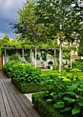 THE GLASS HOUSE  PETERSHAM. ARCHITECTS TERRY FARRELL PARTNERS. GARDEN DESIGN BY SALLIS CHANDLER: WOODEN PERGOLA  BETULA JACQUEMONTII  BOX EDGED BEDS WITH HYDRANGEA ANNABELLE
