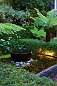 THE GLASS HOUSE  PETERSHAM. ARCHITECTS TERRY FARRELL PARTNERS. GARDEN DESIGN BY SALLIS CHANDLER: TREE FERNS BESIDE BLACK PEBBLE POOL AND FOUNTAIN  LIT UP AT NIGHT