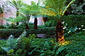 THE GLASS HOUSE  PETERSHAM. ARCHITECTS TERRY FARRELL PARTNERS. GARDEN DESIGN BY SALLIS CHANDLER: TREE FERNS BESIDE BLACK PEBBLE POOL AND FOUNTAIN  LIT UP AT NIGHT