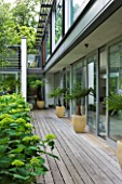 THE GLASS HOUSE  PETERSHAM. ARCHITECTS TERRY FARRELL PARTNERS. GARDEN DESIGN BY SALLIS CHANDLER: DECKING BESIDE HOUSE WITH CONTAINERS AND HYDRANGEA ANNABELLE
