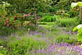 OLD THATCH  BERKSHIRE: THE LAVENDER TERRACE WITH OLD OAK POSTS FESTOONED WITH ROSES