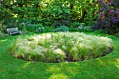 OLD THATCH  BERKSHIRE: BENCH BESIDE LAWN IN THE CIRCLE GARDEN OF STIPA TENUISSIMA