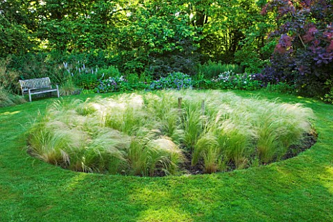 OLD_THATCH__BERKSHIRE_BENCH_BESIDE_LAWN_IN_THE_CIRCLE_GARDEN_OF_STIPA_TENUISSIMA
