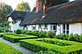 OLD THATCH  BERKSHIRE: THE FORMAL GARDEN OF CLIPPED BOX AND LOLLIPOP VARIEGATED HOLLY WITH THATCHED COTTAGE BEHIND