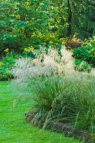 OLD_THATCH__BERKSHIRE_GRASSES_IN_BORDER_IN_WOODLAND