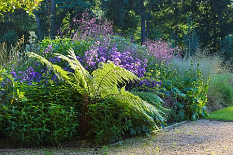 THE_LAKE_HOUSE_AUTUMN_BORDER_WITH_ASTERS_AND_TRACHYCARPUS