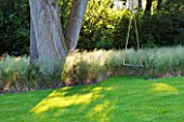 THE LAKE HOUSE: TREE WITH TREE SWING  LAWN AND GRASSES