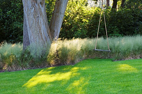 THE_LAKE_HOUSE_TREE_WITH_TREE_SWING__LAWN_AND_GRASSES