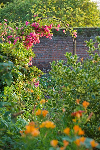 PECKOVER_HOUSE__WISBECH__CAMBRIDGESHIRE_THE_NATIONAL_TRUST__ROSE_GARDEN_WITH_ARCH_OF_ROSA_HIAWATHA__
