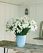 TWIG HUTCHINSON HOUSE  LONDON: WOODEN TABLE WITH WHITE IRISES IN A METAL CONTAINER