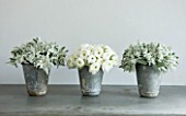 TWIG HUTCHINSON HOUSE  LONDON: METAL CONTAINERS ON SIDEBOARD WITH WHITE RANUNCULUS