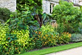 WORCESTER COLLEGE  OXFORD: BORDER WITH BANANA - ENSETE VENTRICOSUM