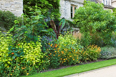WORCESTER_COLLEGE__OXFORD_BORDER_WITH_BANANA__ENSETE_VENTRICOSUM