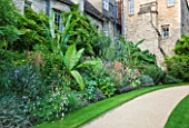 WORCESTER COLLEGE  OXFORD: EXOTIC TROPICAL BORDER WITH BANANA - ENSETE VENTRICOSUM