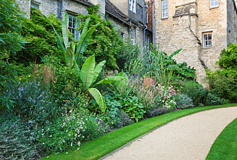 WORCESTER_COLLEGE__OXFORD_EXOTIC_TROPICAL_BORDER_WITH_BANANA__ENSETE_VENTRICOSUM