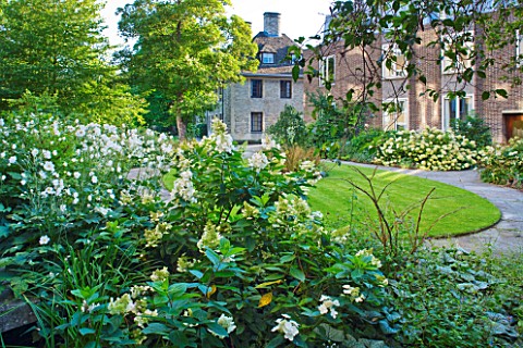 WORCESTER_COLLEGE__OXFORD_THE_CASSON_BUILDING_WITH_HYDRANGEA_ANNABELLE__HYDRANGEA_PANICULATA_LIMELIG