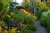 THE PICTON GARDEN  WORCESTERSHIRE: PATH BESIDE AUTUMN BORDERS WITH RHUS AND COTINUS IN BACKGROUND