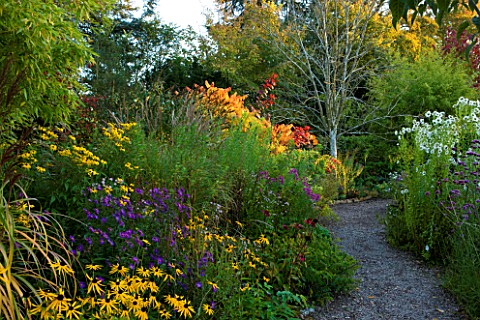 THE_PICTON_GARDEN__WORCESTERSHIRE_PATH_BESIDE_AUTUMN_BORDERS_WITH_RHUS_AND_COTINUS_IN_BACKGROUND
