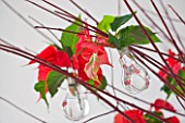 THE URBAN FLOWER FIRM (TUFF) : TWIGS DECORATED WITH GLASS JARS WITH POINSETTIA CHRISTMAS FEELINGS RED
