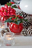 THE URBAN FLOWER FIRM (TUFF) : WHITE AND RED CHRISTMAS TABLE SETTING WITH POINSETTIA CHRISTMAS FEELINGS RED  FIR CONES AND CANDLES
