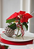 THE URBAN FLOWER FIRM (TUFF) : WHITE AND RED CHRISTMAS TABLE SETTING WITH POINSETTIA CHRISTMAS FEELINGS RED AND FIR CONES